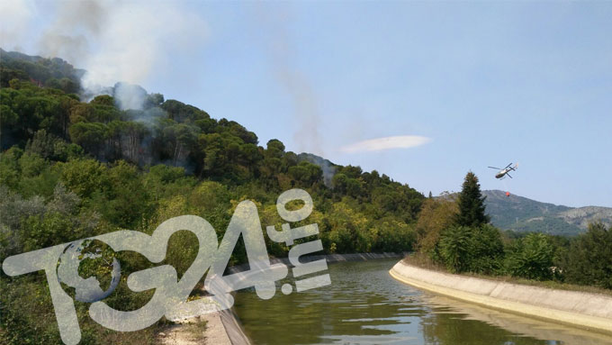 pontecorvo_pineta_incendio